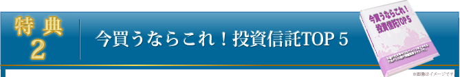 特典２：ポートフォリオ見直しシート